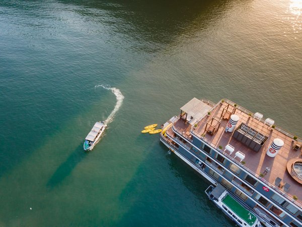 Découvrez le camping unique à blois au cœur de la nature